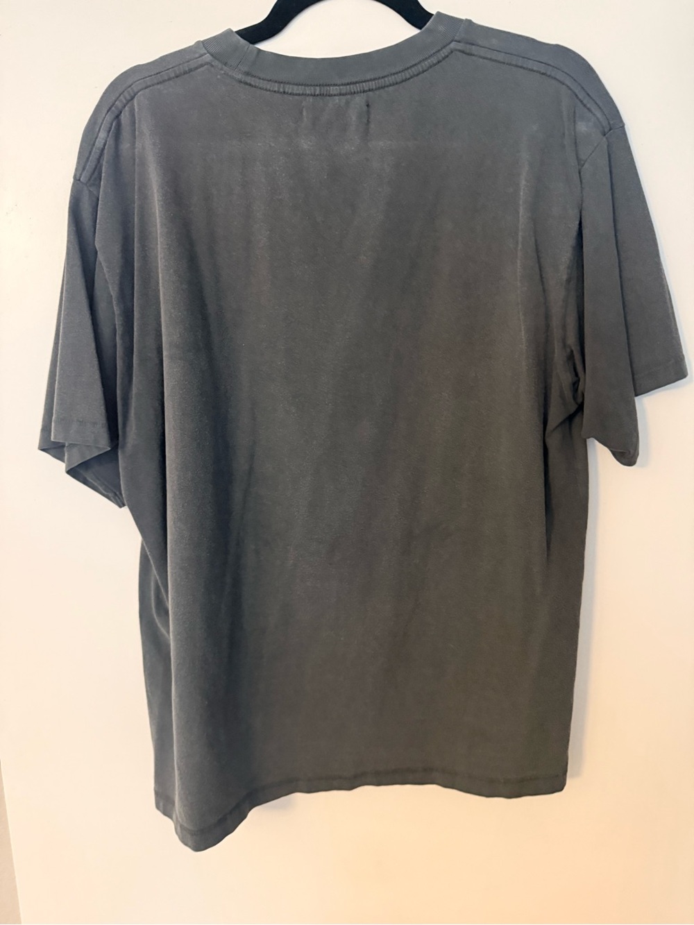 ANINE BING Charcoal Graphic Tiger Short Sleeve Tee with Blue Logo - Picture 3 of 5